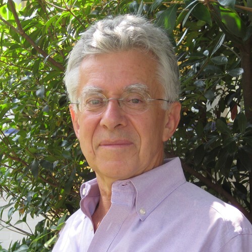 Speaker image